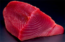 Big Eye Tuna