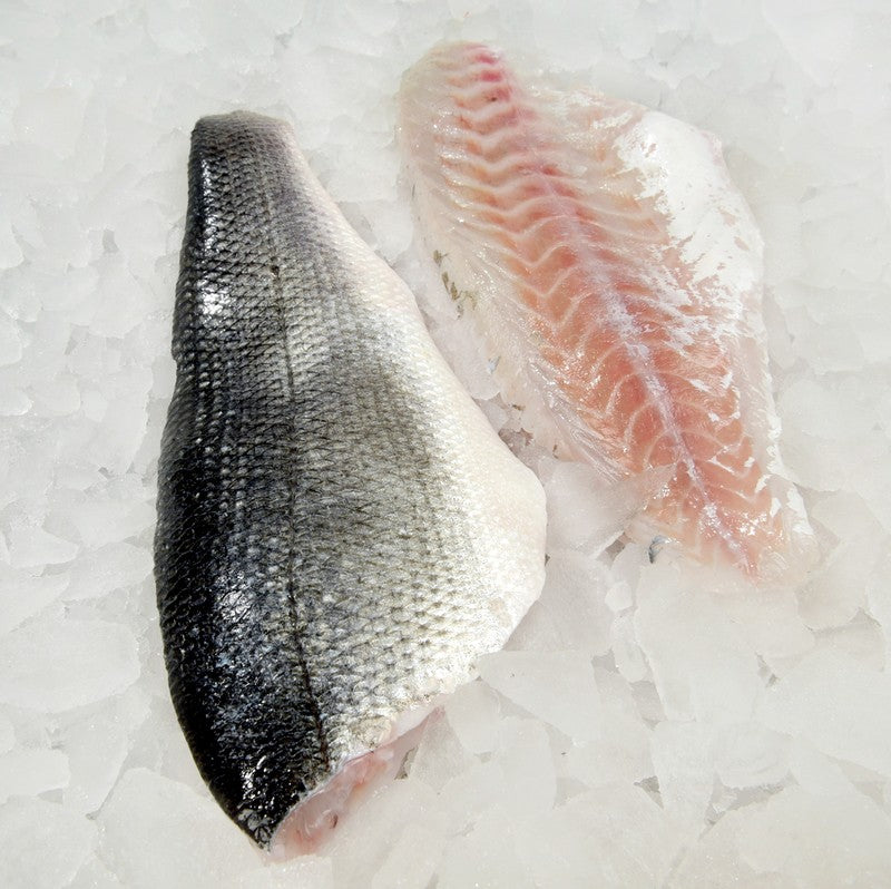 Bronzini (Mediterranean Sea Bass)