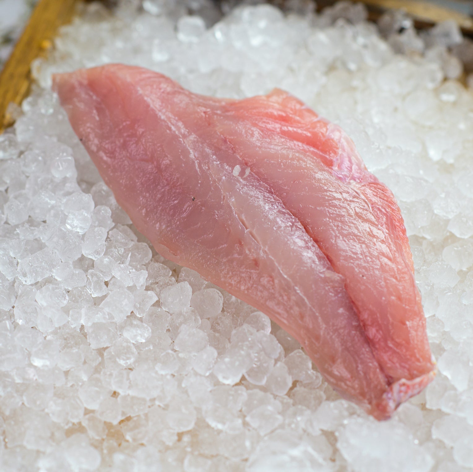 Red Snapper Madden's Seafood Raleigh NC
