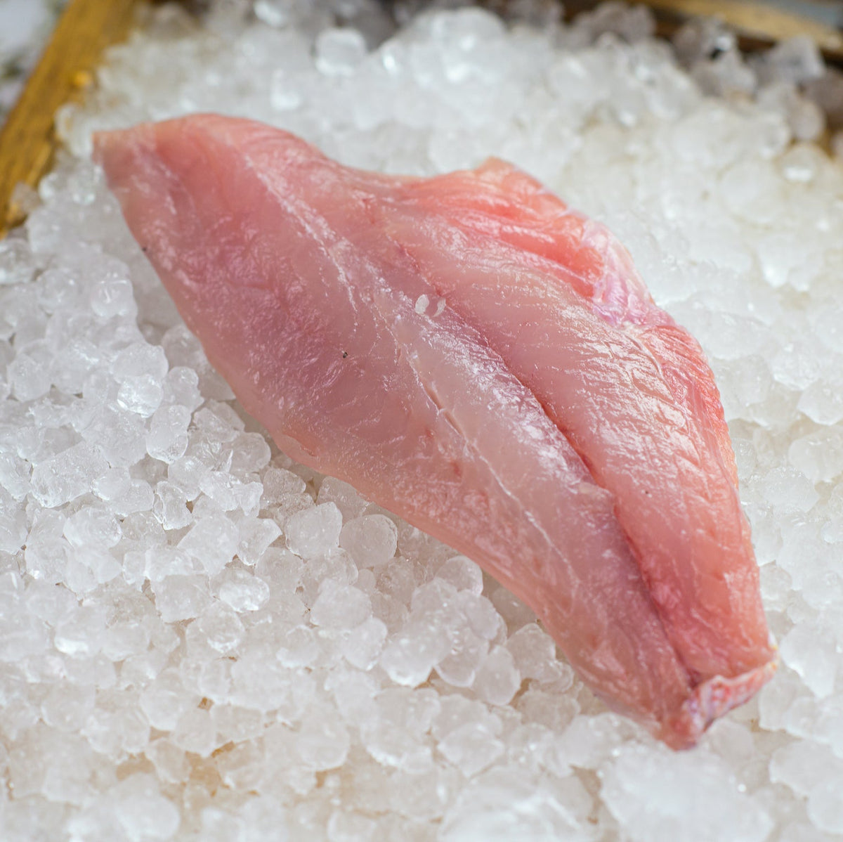 Snapper- Fresh Caught North Carolina
