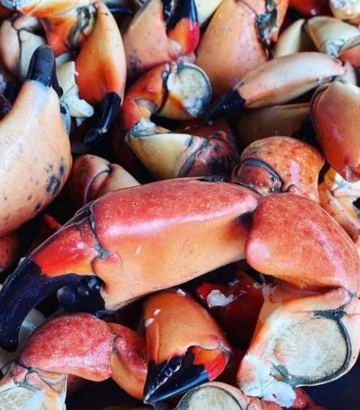 Stone Crab Claws