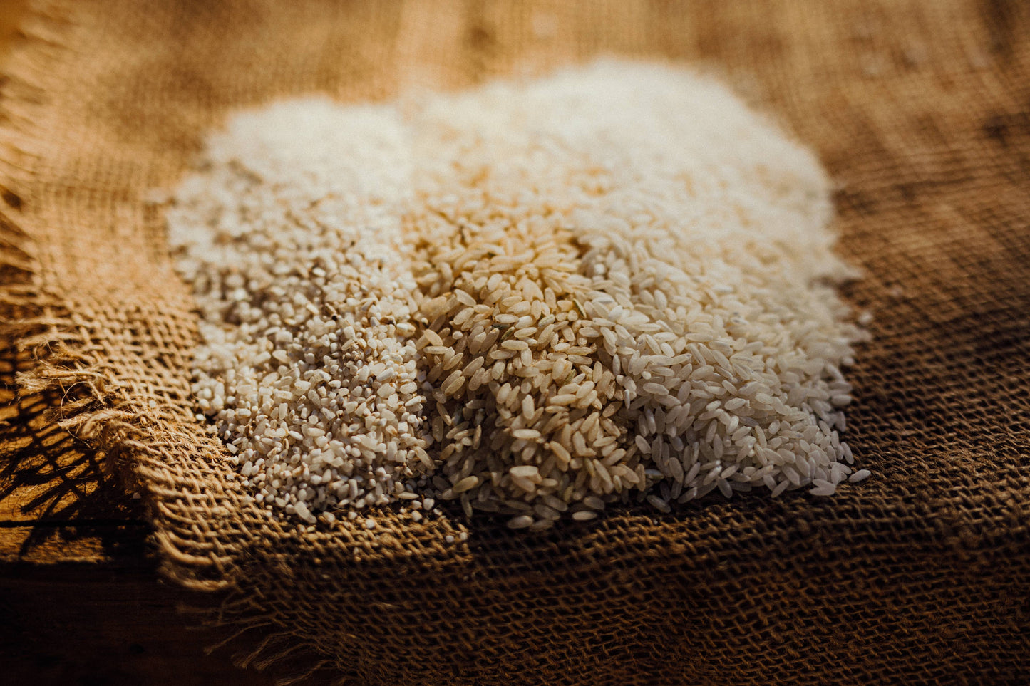 
                  
                    Carolina Gold Heirloom Rice - 2lb Retail Packaging: White Rice
                  
                