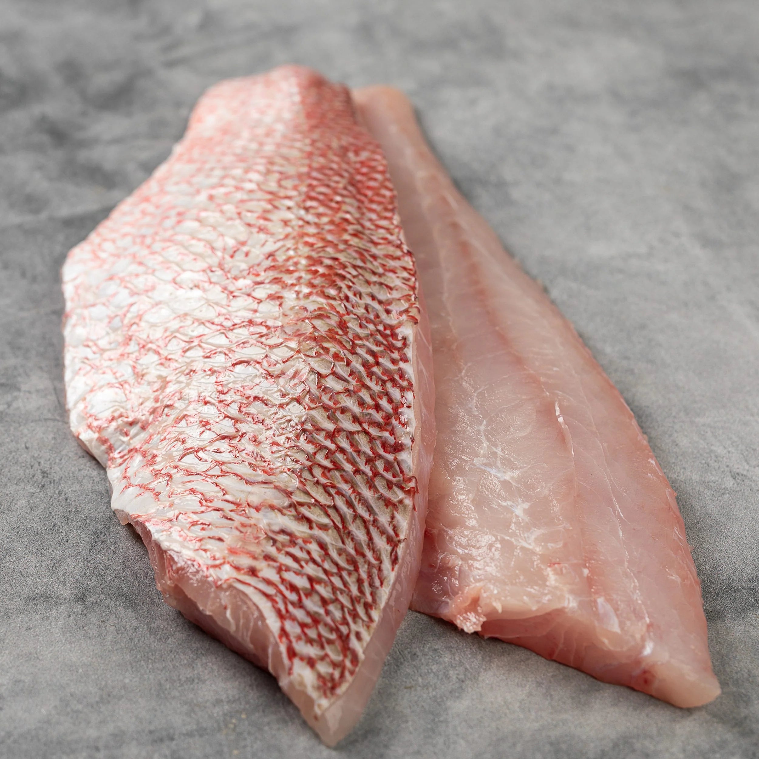 Red Snapper