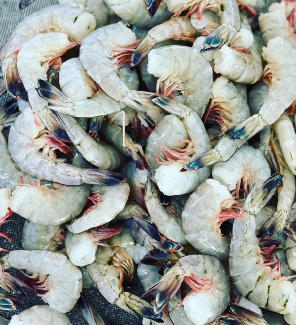 Jumbo Shrimp Madden's Seafood Raleigh NC