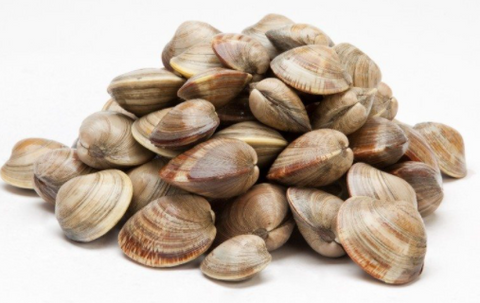 Littlneck Clams Madden's Seafood Raleigh NC