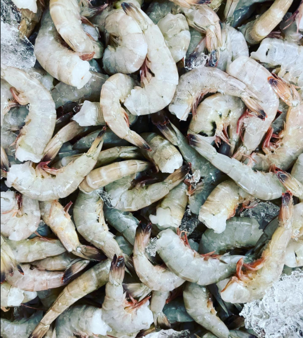 Medium Shrimp Madden's Seafood Raleigh NC