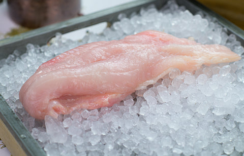 Red Drum Madden's Seafood Raleigh NC