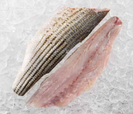 Striped Bass Raleigh