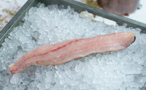 Speckled Trout Madden's Seafood Raleigh NC