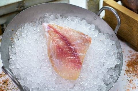 Triggerfish Madden's Seafood Raleigh NC